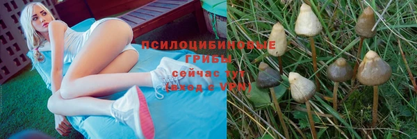 кокс Абдулино