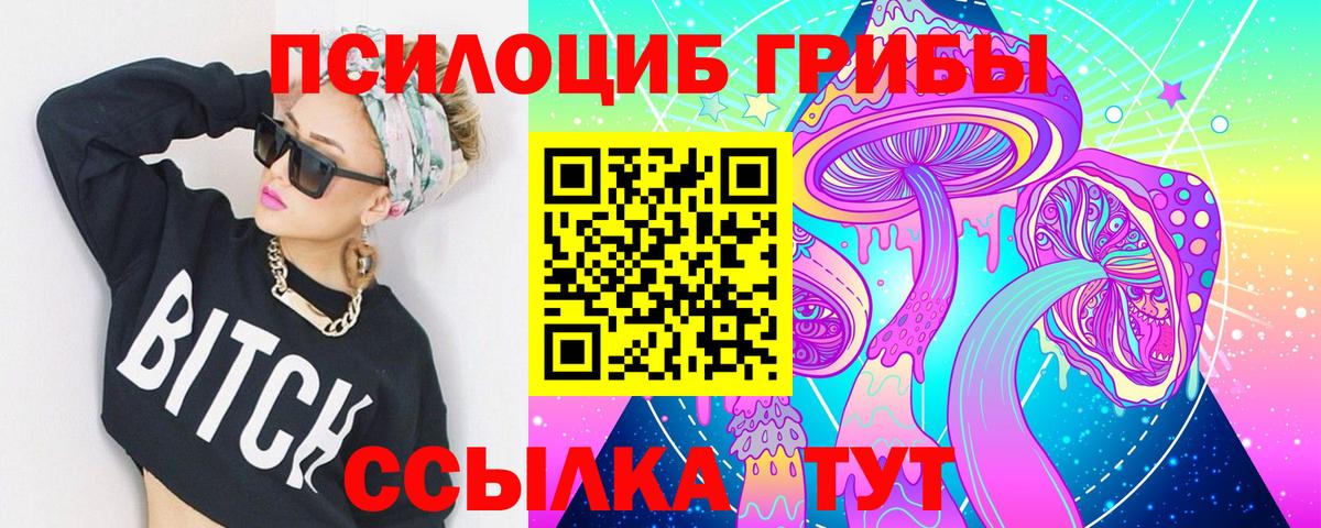 Нижнекамск  как найти закладки  Вход с VPN  Галлюциногенные грибы GOLDEN TEACHER 